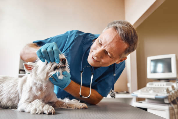Best Emergency Wisdom Tooth Extraction in Gurdon, AR